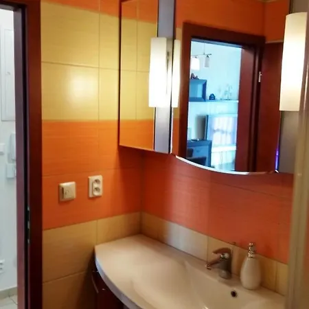 公寓 Elegantny Apartman